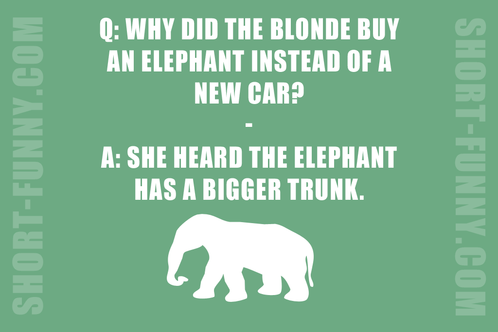 Blonde Humor about an elephant
