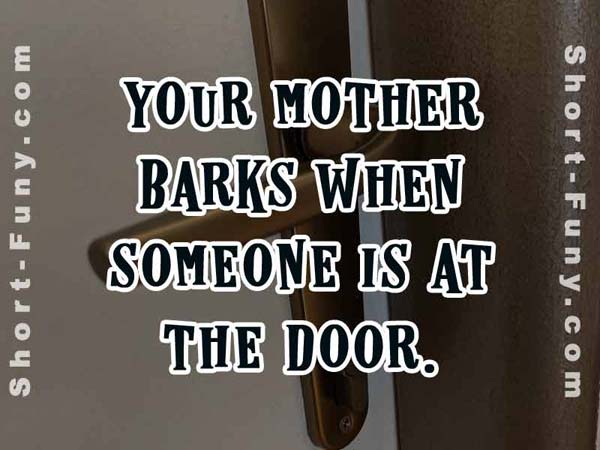 Humor Barks